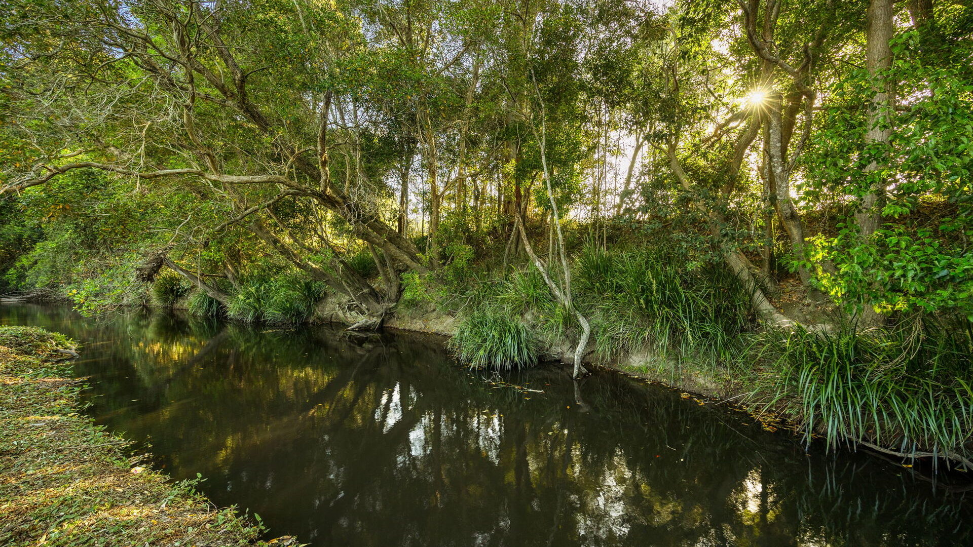 Sold - 255 Toolborough Road - New Property in Yandina Creek - Real Estate by 