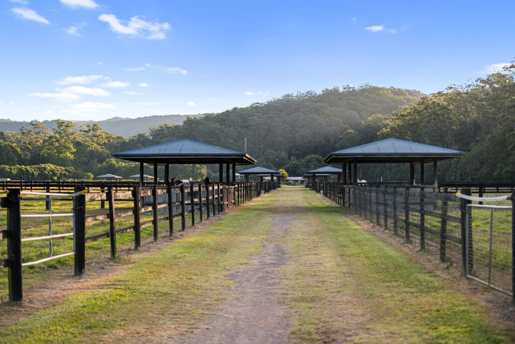 Sold - 135 Burtons Road - New Property in Bridges - Real Estate by Damien Michael