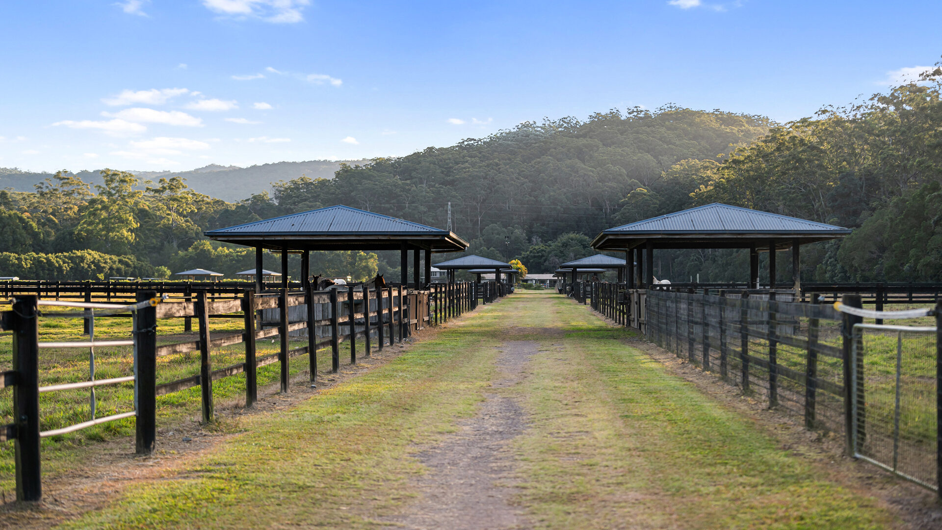 Sold - 135 Burtons Road - New Property in Bridges - Real Estate by Damien Michael