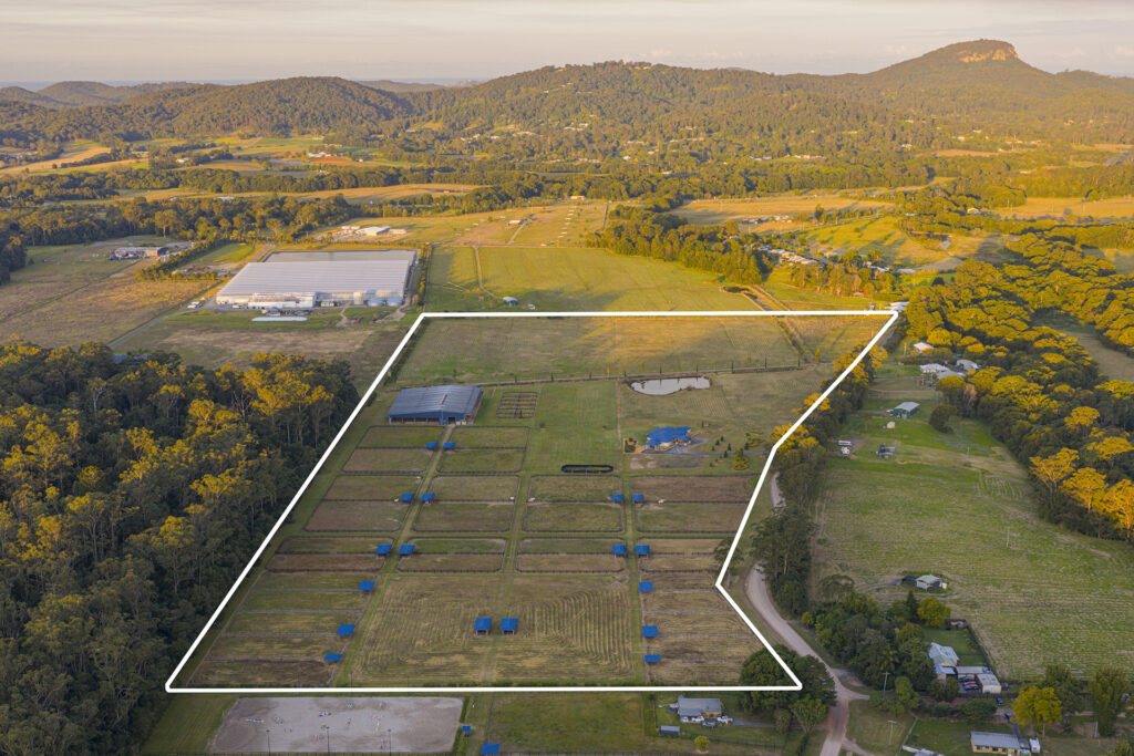 Sold - 135 Burtons Road - New Property in Bridges - Real Estate by Damien Michael