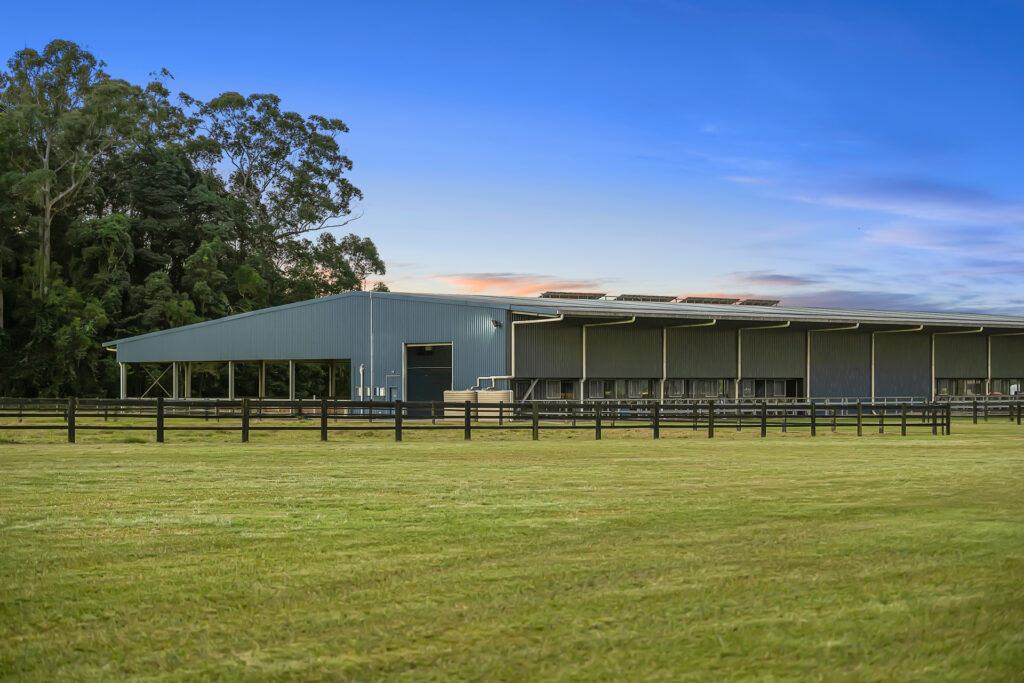 Sold - 135 Burtons Road - New Property in Bridges - Real Estate by Damien Michael