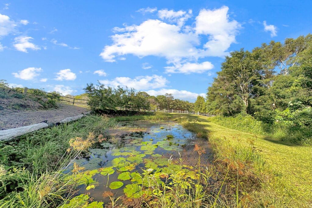 Sold - 136 Gerrard Road - New Property in Eudlo - Real Estate by Shaun Hammill