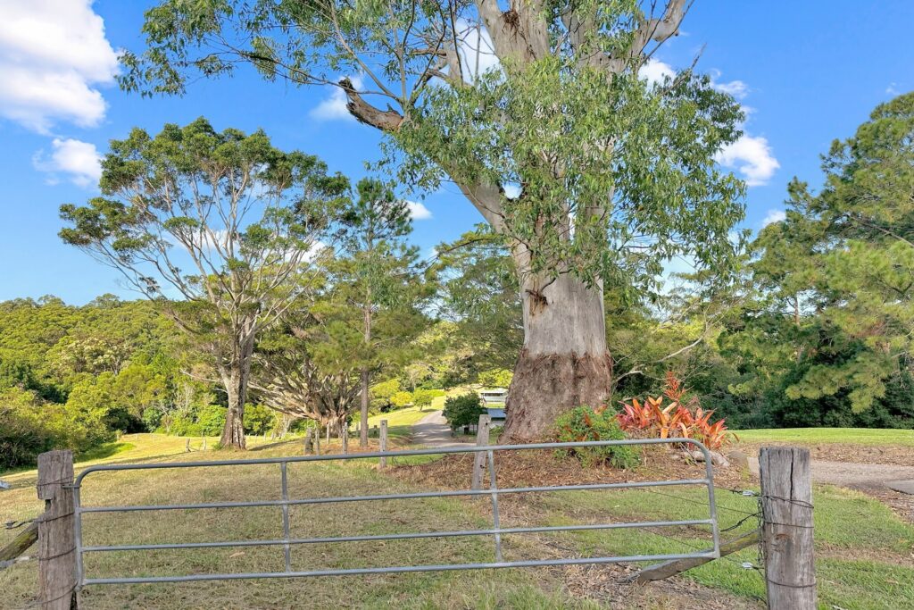 Sold - 136 Gerrard Road - New Property in Eudlo - Real Estate by Shaun Hammill