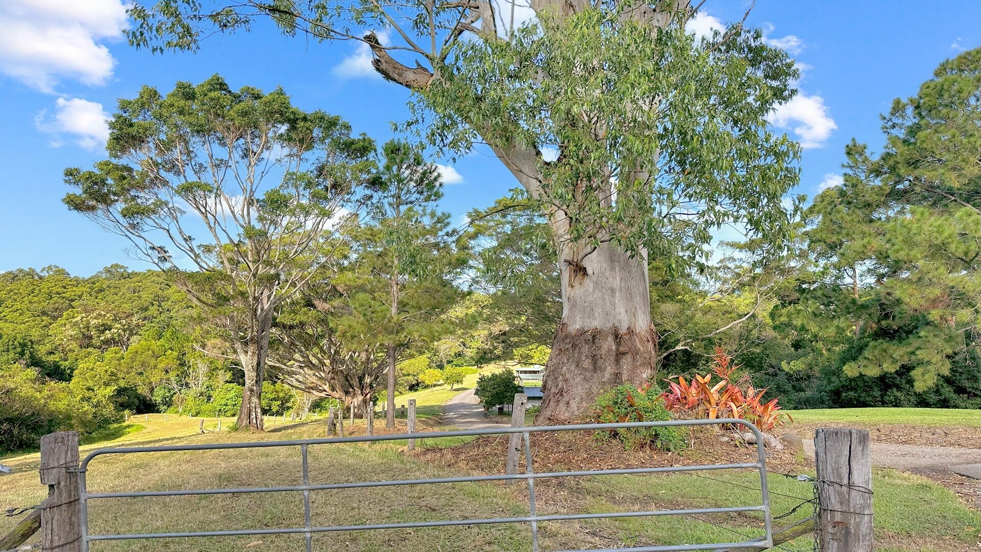 Sold - 136 Gerrard Road - New Property in Eudlo - Real Estate by Shaun Hammill