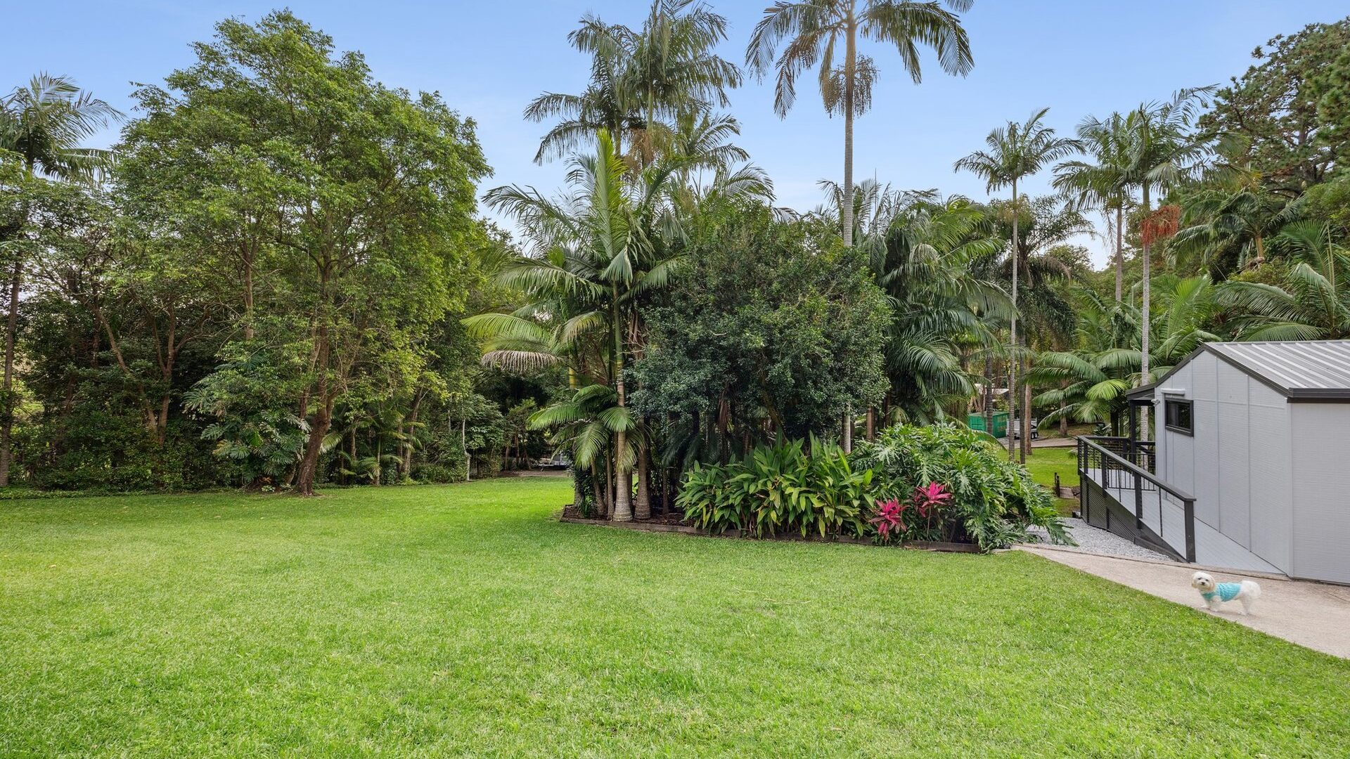 Sold - 39 Lara Drive - New Property in Buderim - Real Estate by Damien Michael