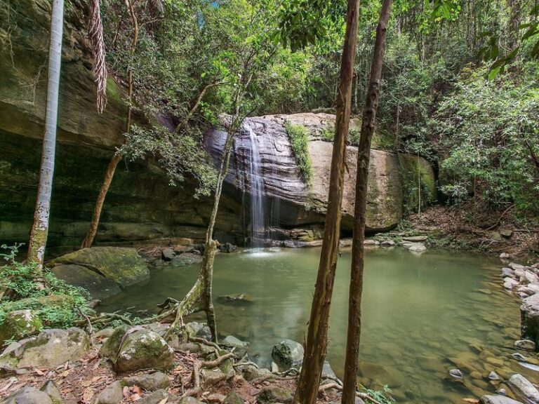 Sold - 23 Caroline Crescent - New Property in Buderim - Real Estate by Stuart Thomas