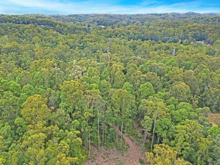 Sold - 247 Dales Road - New Property in Chevallum - Real Estate by Matt Diesel