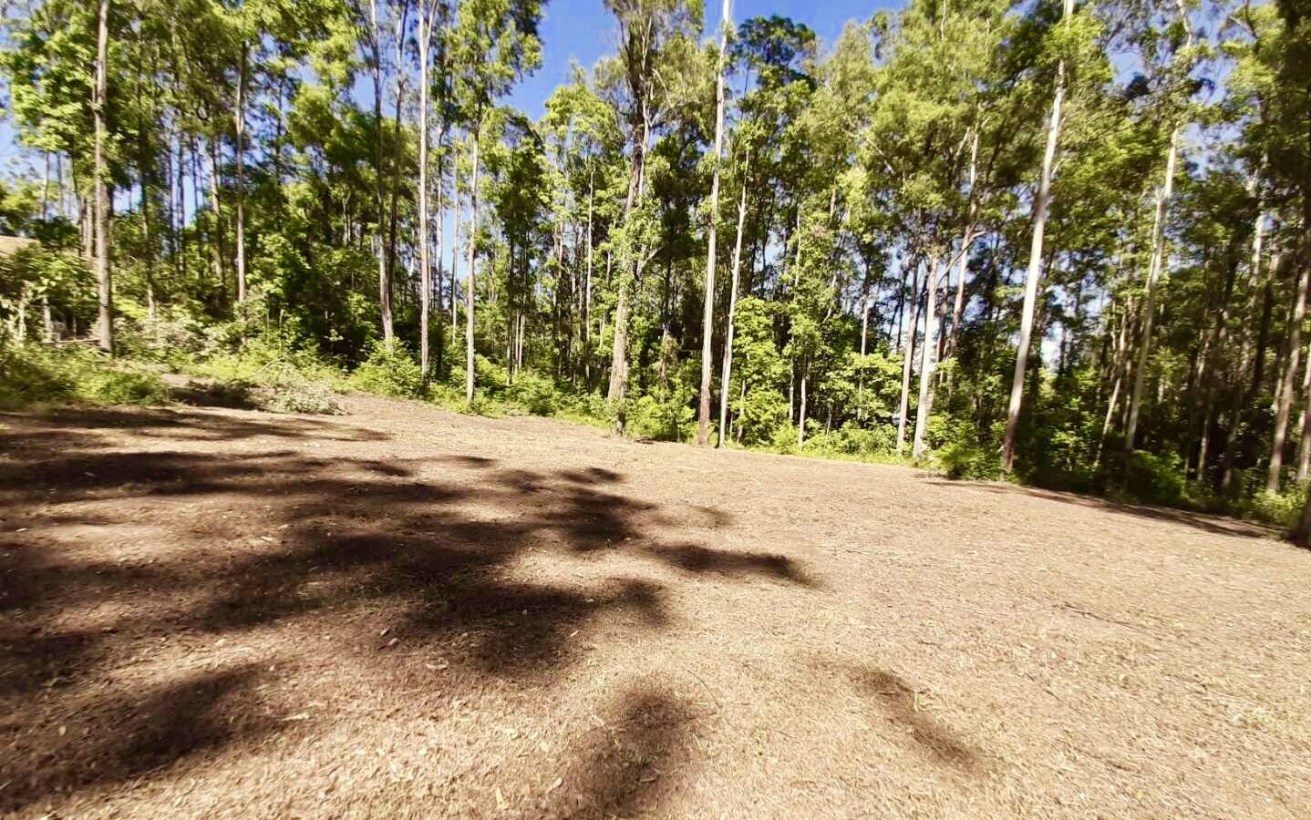 Sold - 247 Dales Road - New Property in Chevallum - Real Estate by Matt Diesel
