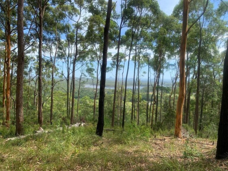 Sold - Lot 4 Leeding Road - New Property in Glenview - Real Estate by Shaun Hammill