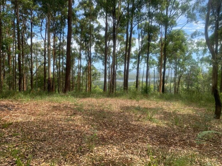 Sold - Lot 4 Leeding Road - New Property in Glenview - Real Estate by Shaun Hammill