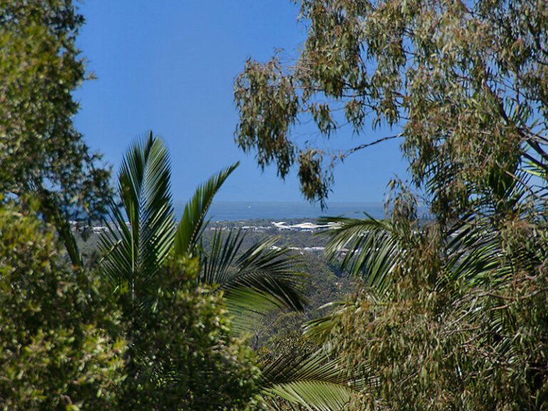 Sold - 17 Gumtree Drive - New Property in BUDERIM - Real Estate by Peter Hill