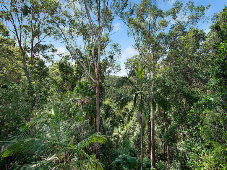 Sold - 140 Mons School Road - New Property in BUDERIM - Real Estate by Peter Hill