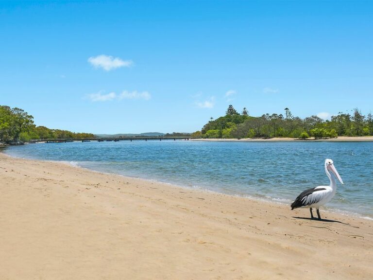 Sold - 26 Broadwater Avenue - New Property in MAROOCHYDORE - Real Estate by Chris Pace