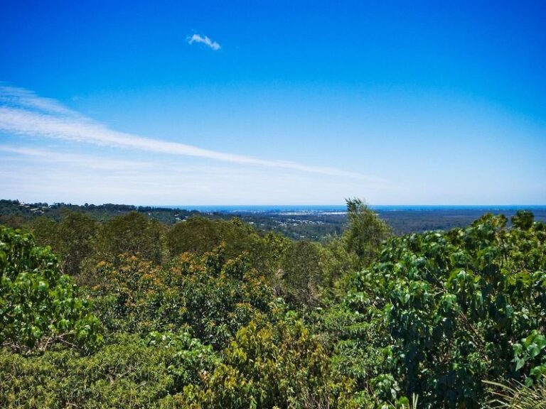 Sold - 1/3 Orient Court - New Property in BUDERIM - Real Estate by McGrath Buderim