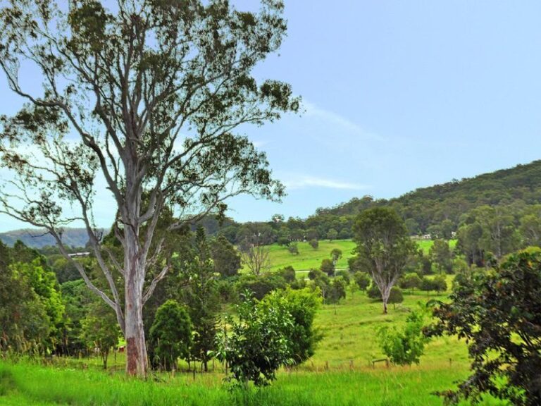 Sold - 47 Gaylard Road - New Property in IMAGE FLAT - Real Estate by McGrath Buderim