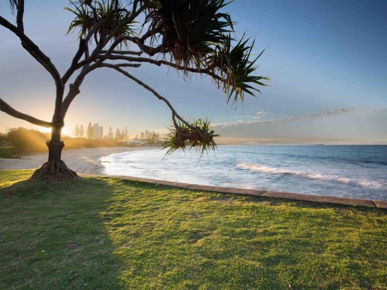 Sold - 63 Okinja Road - New Property in ALEXANDRA HEADLAND - Real Estate by Chris Pace