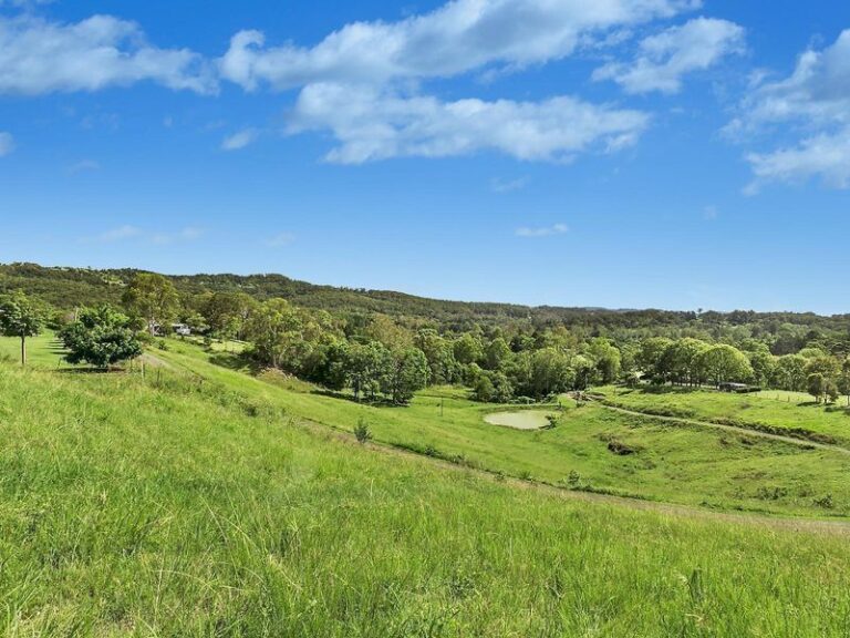 Sold - 125 Jacksons Road - New Property in WOOMBYE - Real Estate by Shaun Hammill