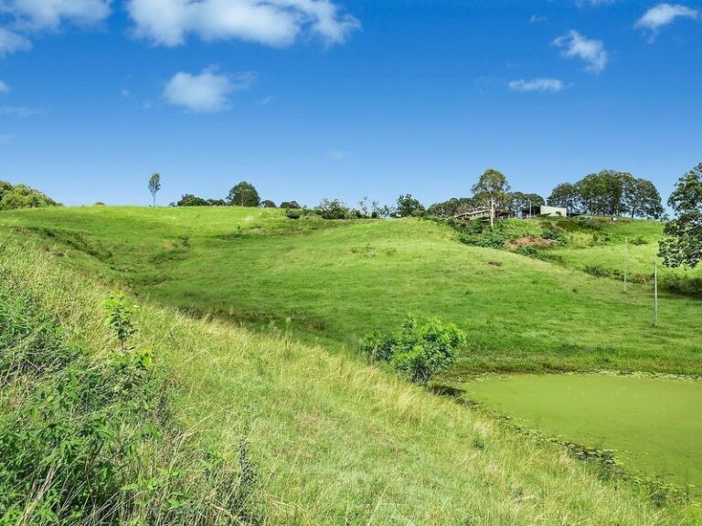 Sold - 125 Jacksons Road - New Property in WOOMBYE - Real Estate by Shaun Hammill
