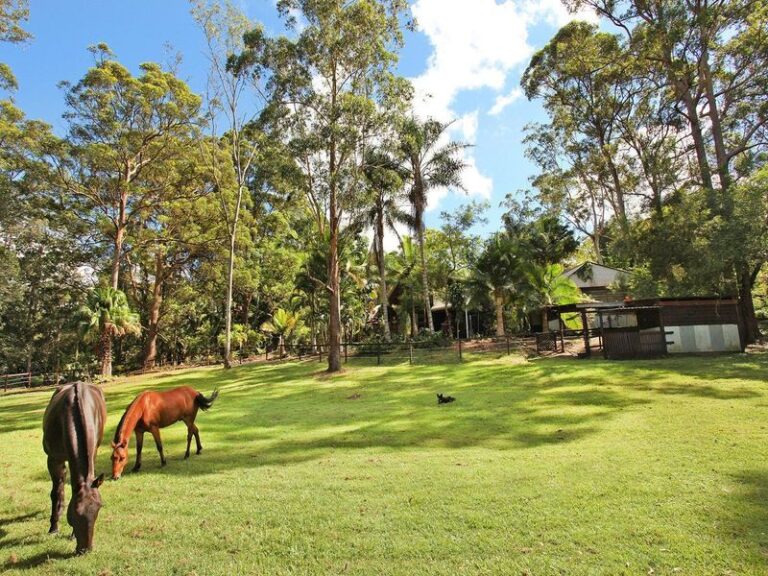 Sold - 240 Sippy Creek Road - New Property in TANAWHA - Real Estate by Stuart Thomas