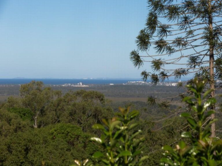 Sold - 14 Ballinger Crescent - New Property in BUDERIM - Real Estate by Carlie Penn