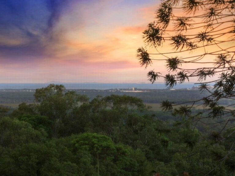Sold - 14 Ballinger Crescent - New Property in BUDERIM - Real Estate by Carlie Penn