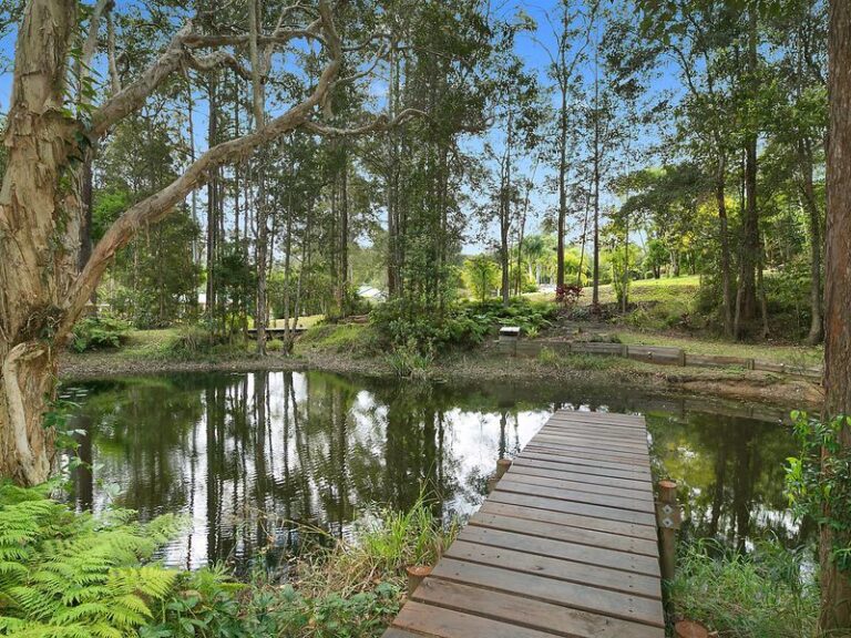 Sold - 12 Cardinal Court - New Property in PALMWOODS - Real Estate by Shaun Hammill