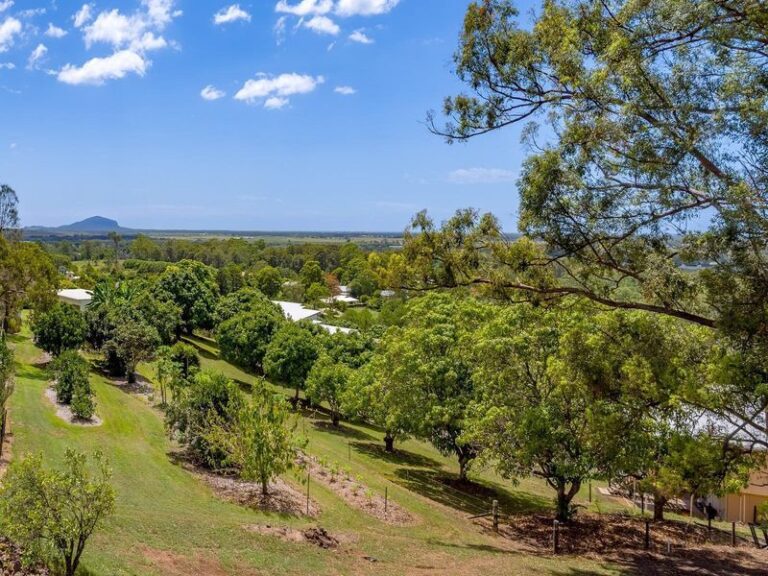 Sold - 770-774 Diddillibah Road - New Property in DIDDILLIBAH - Real Estate by Todd McKee