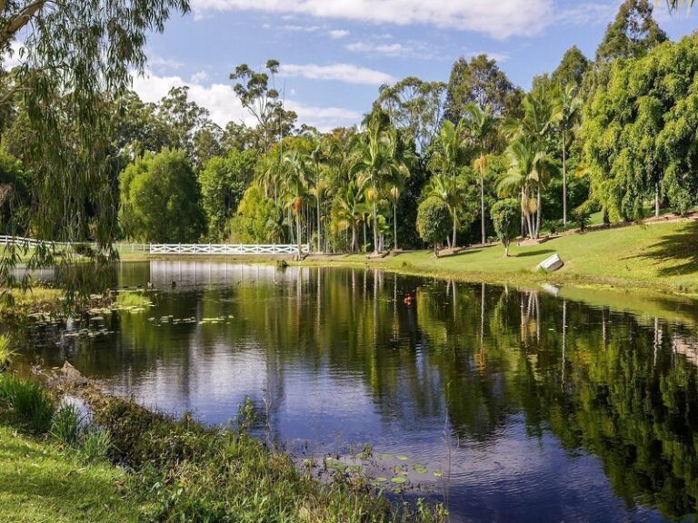 Sold - 106 McKees Road - New Property in PALMWOODS - Real Estate by Chris Pace