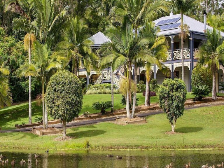Sold - 106 McKees Road - New Property in PALMWOODS - Real Estate by Chris Pace