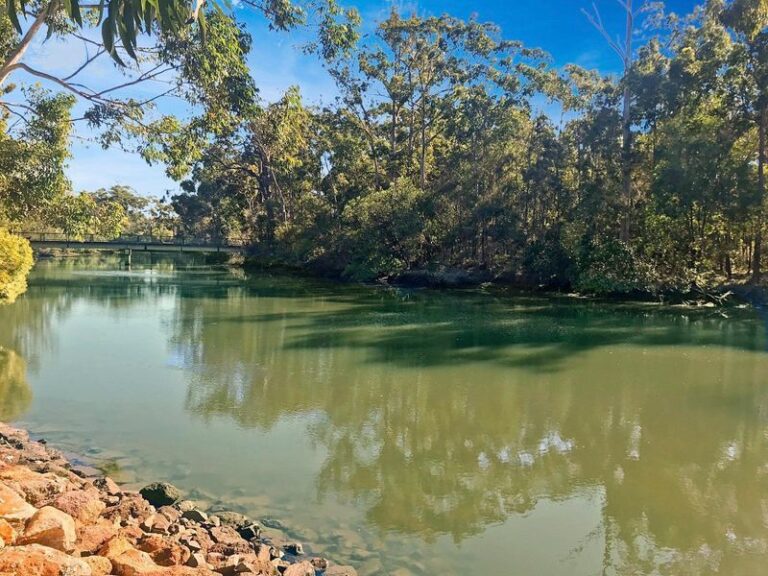 Sold - 16 Parklea Esplanade - New Property in MOUNTAIN CREEK - Real Estate by Shaun Hammill
