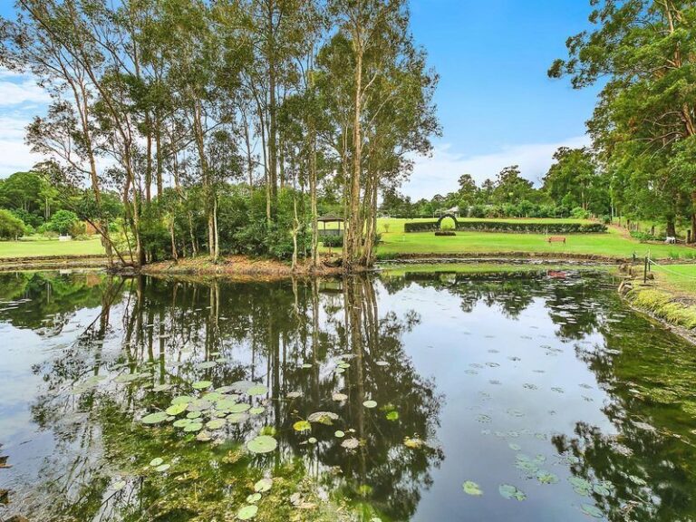 Sold - 72 Winston Road South - New Property in PALMWOODS - Real Estate by Shaun Hammill