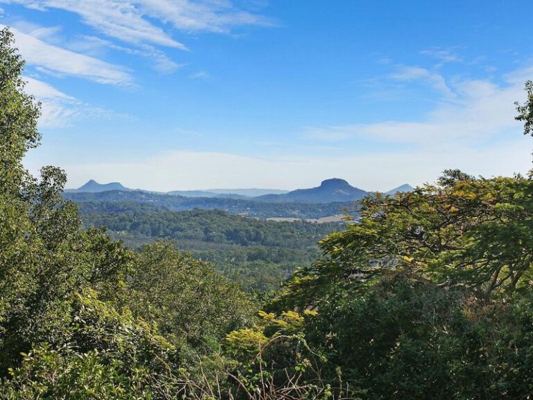 11 Sorensen Avenue, BUDERIM QLD 4556 - photo 10