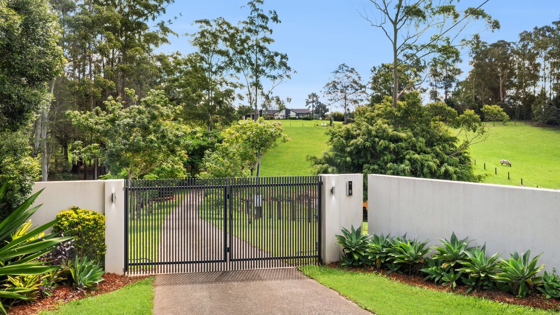 Sold - 101 Winston Road - New Property in Palmwoods - Real Estate by Chris Pace