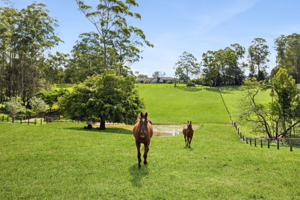 Sold - 101 Winston Road - New Property in Palmwoods - Real Estate by Chris Pace
