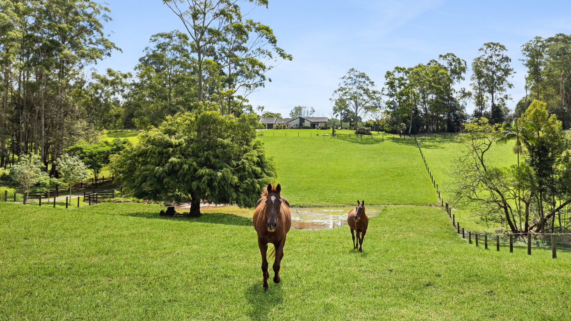Sold - 101 Winston Road - New Property in Palmwoods - Real Estate by Chris Pace