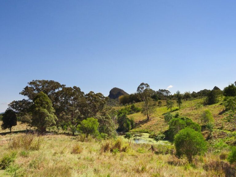 Sold - 23 Driers Road - New Property in COORAN - Real Estate by Peter Hill
