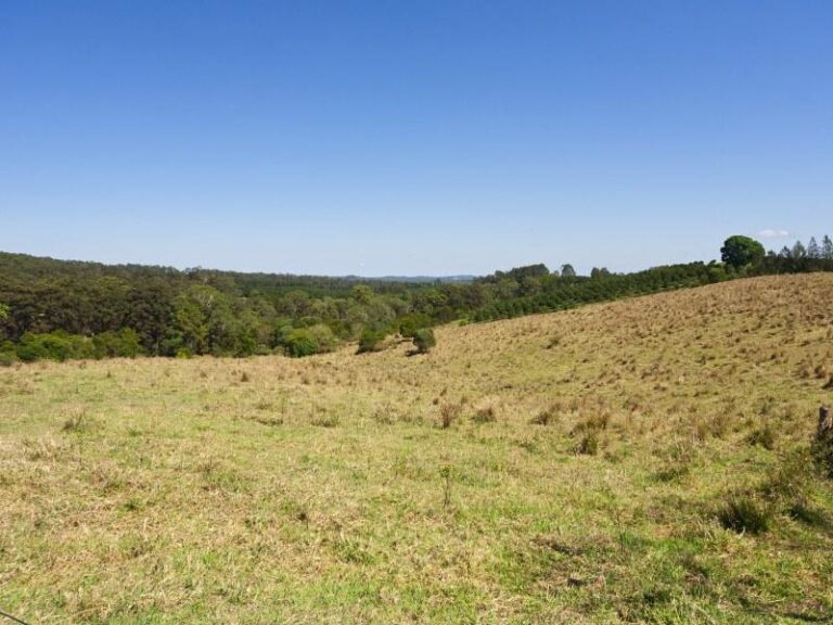 Sold - 23 Driers Road - New Property in COORAN - Real Estate by Peter Hill