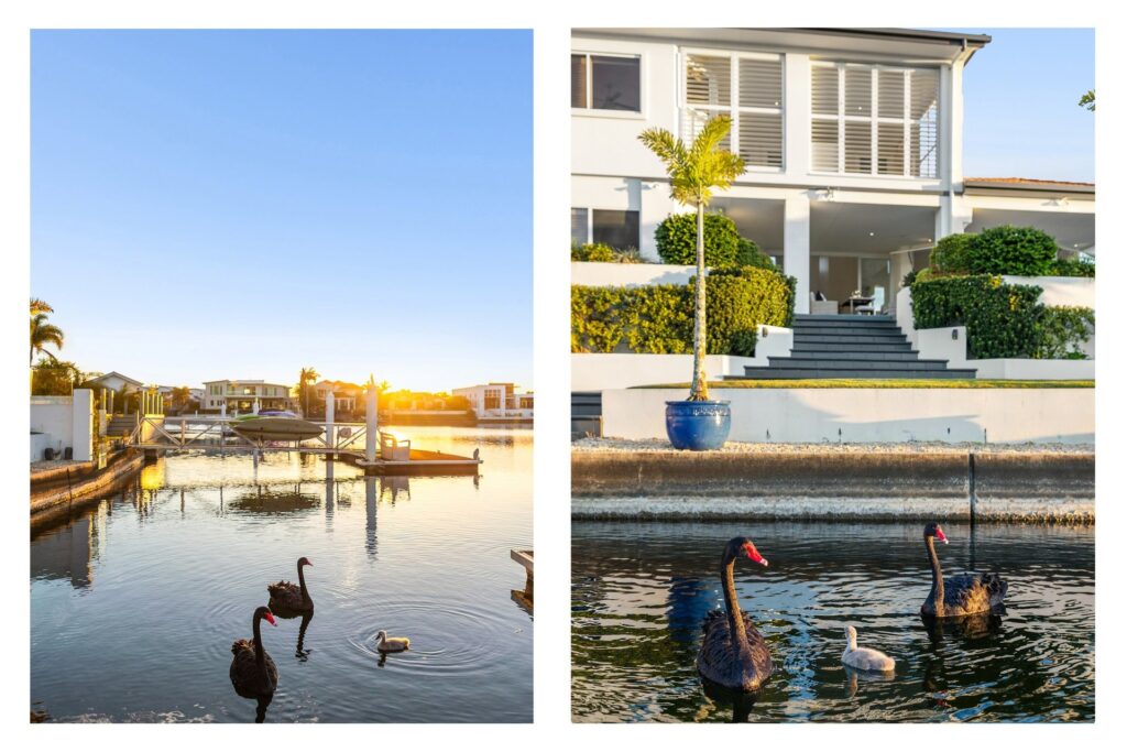 Sold - 104 Sunbird Chase - New Property in Parrearra - Real Estate by Daniel Powers
