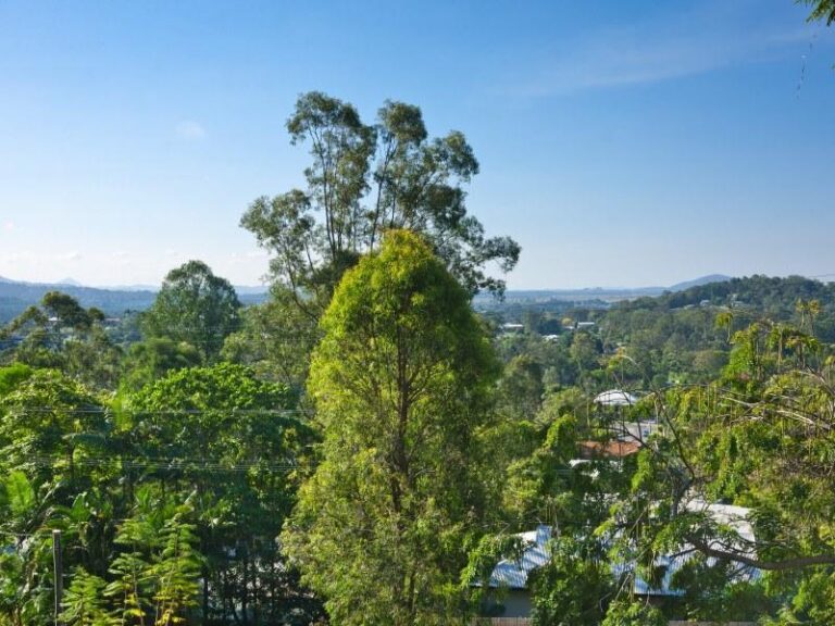 Sold - 20 Kerenjon Avenue - New Property in BUDERIM - Real Estate by Peter Hill