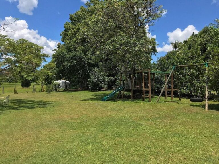 Sold - 181 Old Palmwoods Road - New Property in WEST WOOMBYE - Real Estate by Shaun Hammill