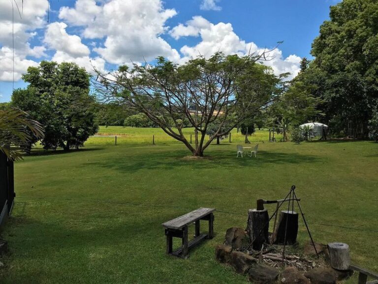 Sold - 181 Old Palmwoods Road - New Property in WEST WOOMBYE - Real Estate by Shaun Hammill