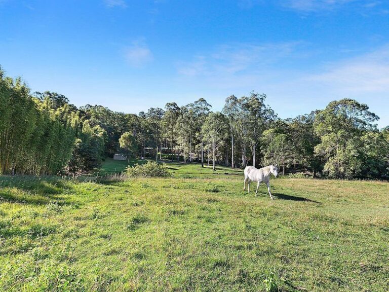13 English Road, KIAMBA QLD 4560 - photo 6