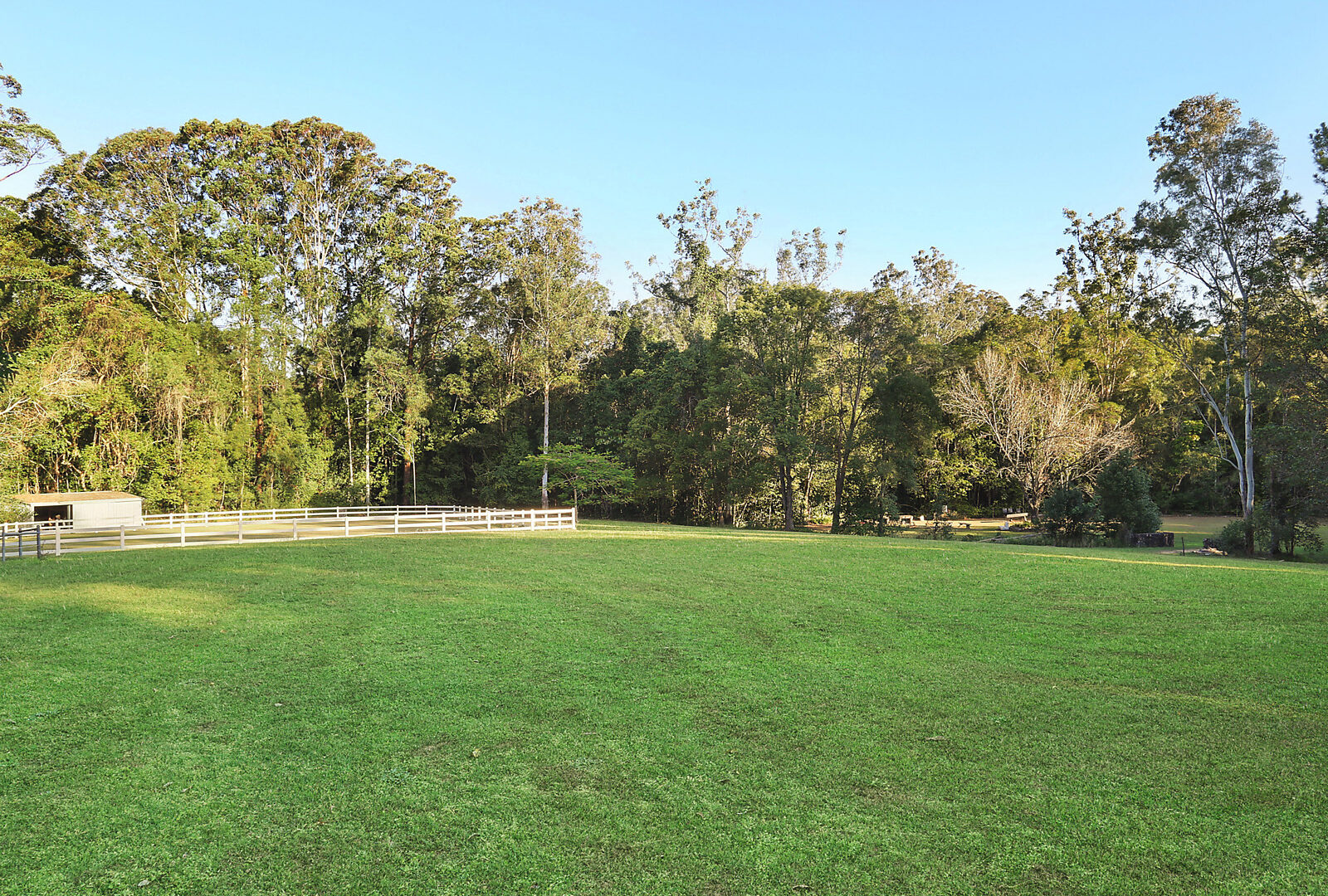 113 Mckees Road, Palmwoods QLD 4555 - photo 6