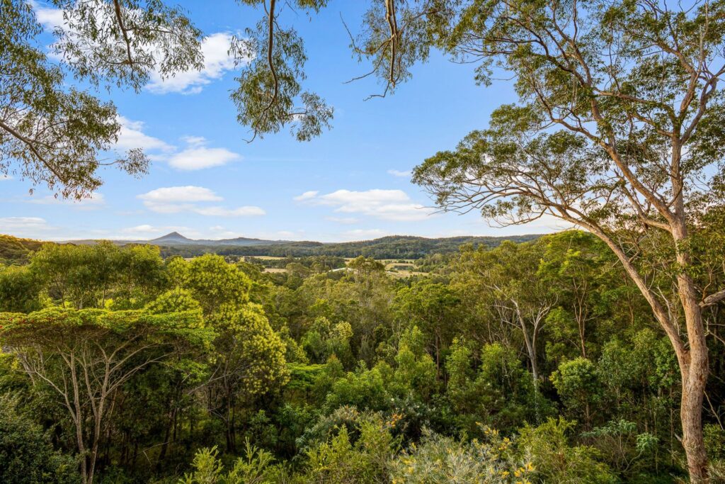 Sold - 47 Whistler Ridge Drive - New Property in Yandina Creek - Real Estate by Kirsty Shakespeare