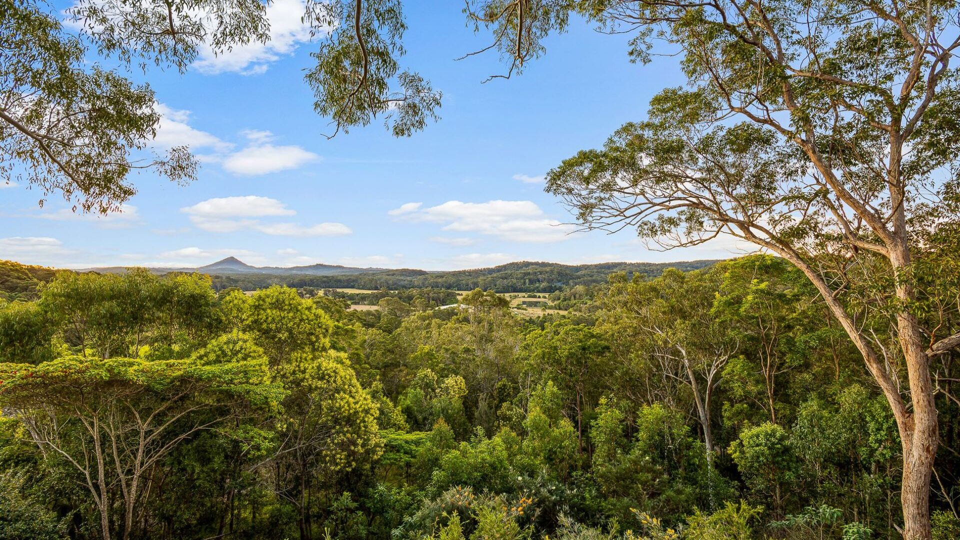 Sold - 47 Whistler Ridge Drive - New Property in Yandina Creek - Real Estate by Kirsty Shakespeare