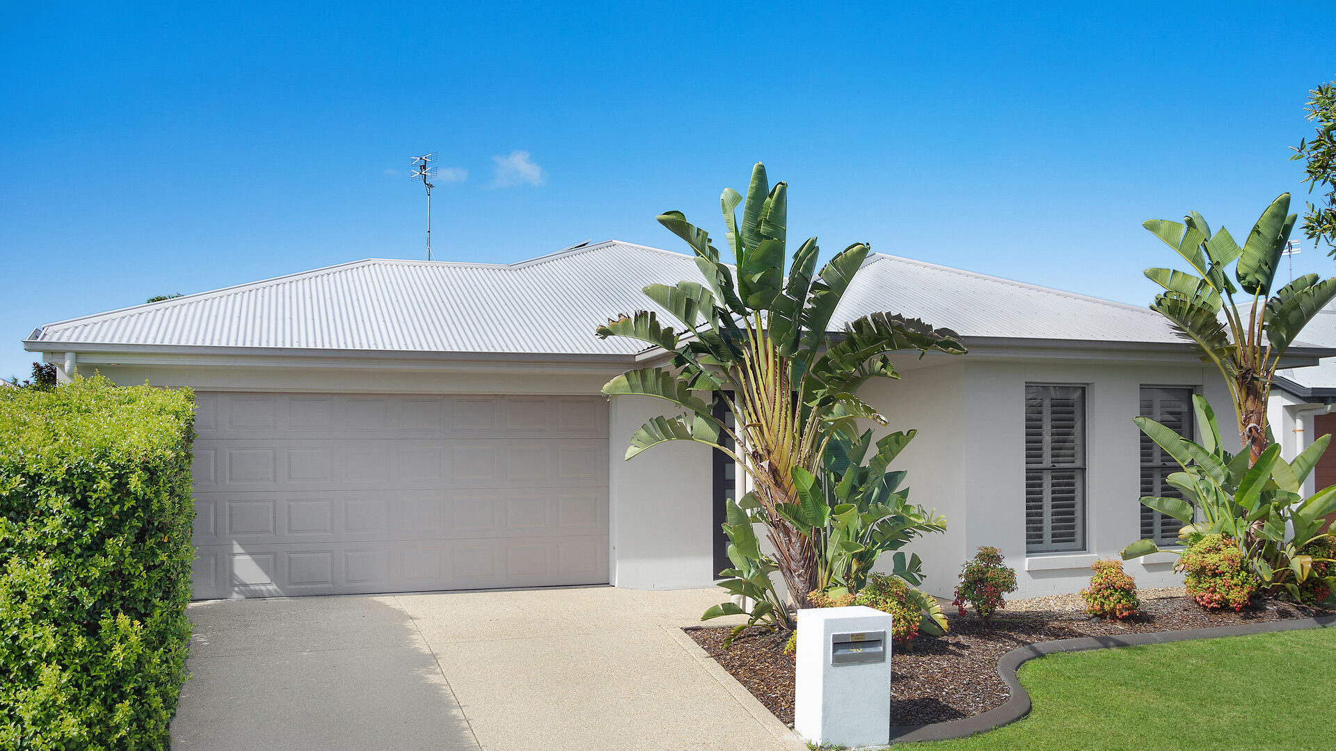 Sold - 43 Sweetlip Circuit - New Property in Mountain Creek - Real Estate by Miles Brechelt