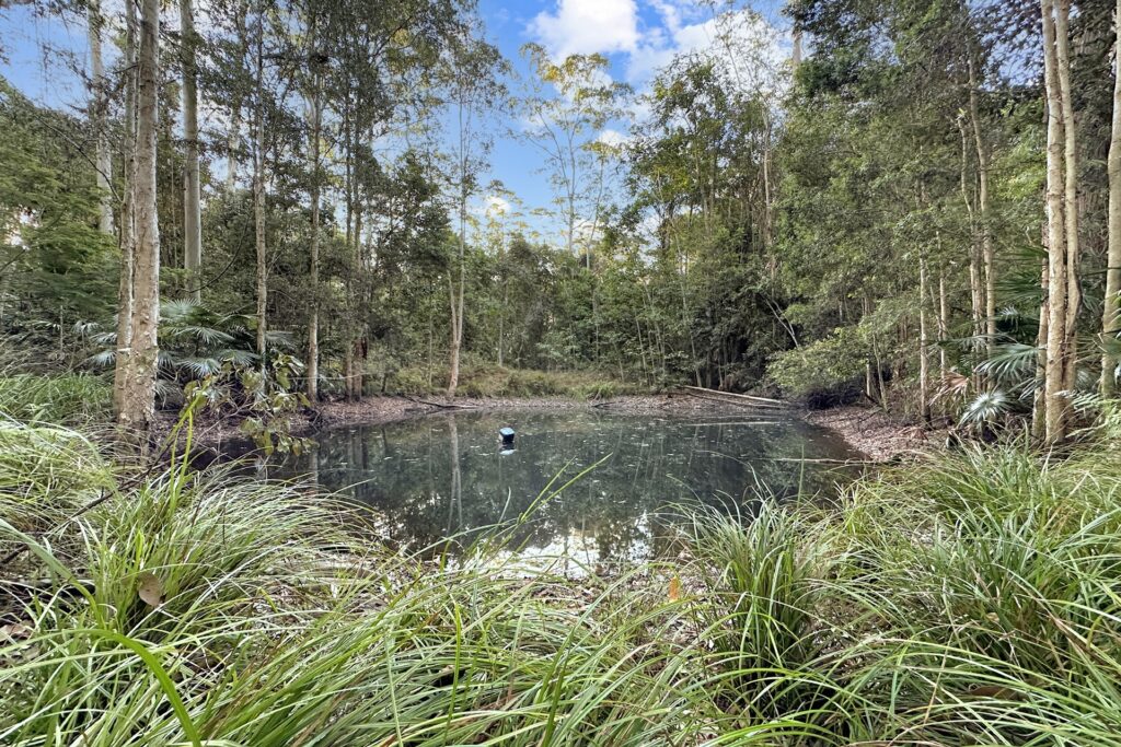 Sold - 40 Chevallum School Road - New Property in Chevallum - Real Estate by Shaun Hammill