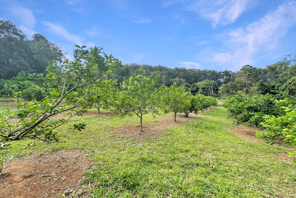 Sold - 18 Parsons Knob Road South - New Property in Hunchy - Real Estate by Shaun Hammill