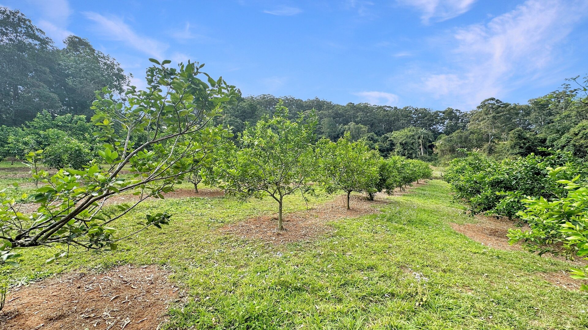Sold - 18 Parsons Knob Road South - New Property in Hunchy - Real Estate by Shaun Hammill