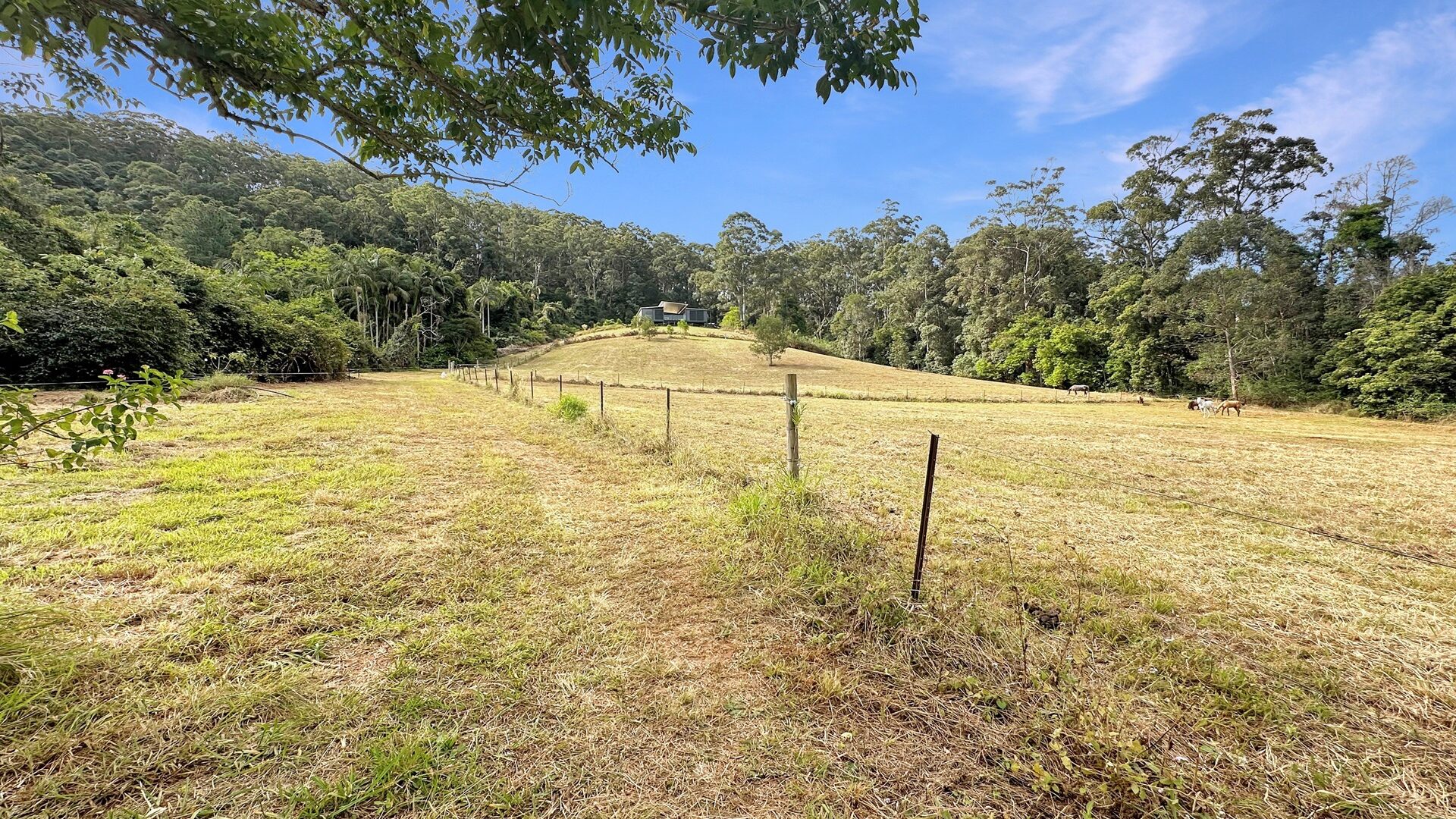Sold - 18 Parsons Knob Road South - New Property in Hunchy - Real Estate by Shaun Hammill